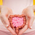 Discover Digestive Health Secrets.