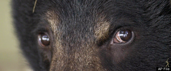 gold rush alaska season 2. #39;Gold Rush: Alaska#39; TV Miners