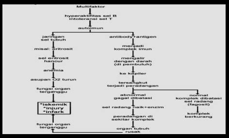 askep  pasien  autoimun lupus les bangsal sehat