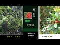 √100以上 樹木 初夏 の 花木 646986
