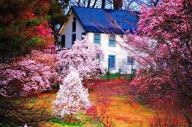 Best New Jersey spring photos