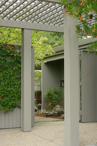 peekaboo garden
