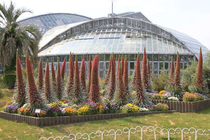 府立植物園 ２０１９初夏 京都を歩くアルバム