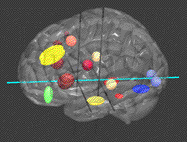 Spark up the ol' gray matter!