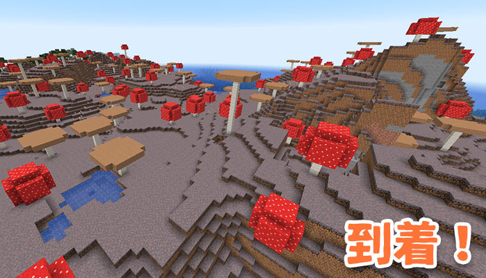 コマンド Locate Biome の使い方を簡単解説 バイオーム探しに役立つ マイクラモール