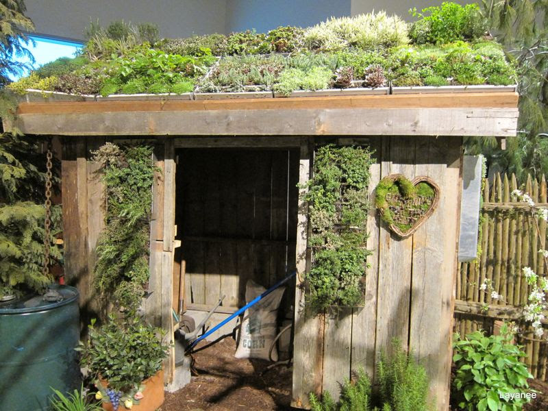 Friday's Flights of Fancy - Armchair travels - Ledge and Gardens