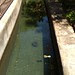 IMG_20121018_133317