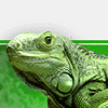 Skamu.com - The only place for Myspace icons, Orkut avatars, and profile codes