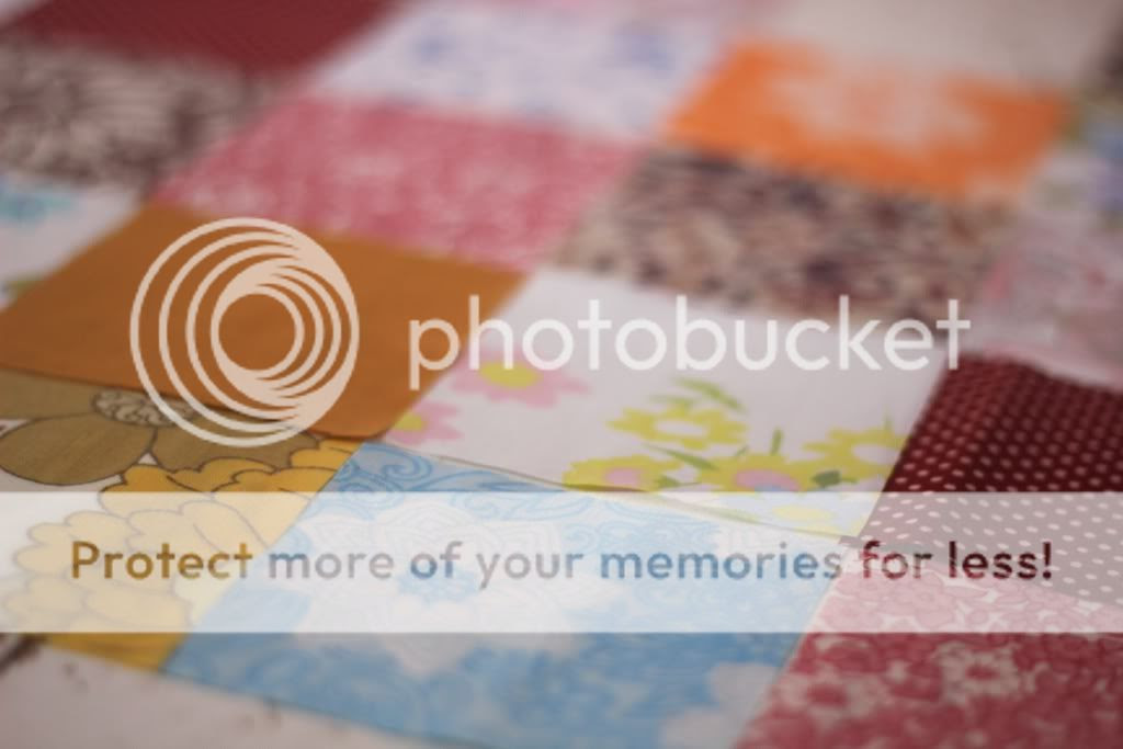 Happy Daisy My Week In Pictures