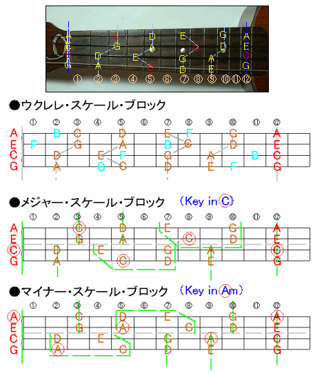 ウクレレのスケール音 小鳥の呟き 楽天ブログ