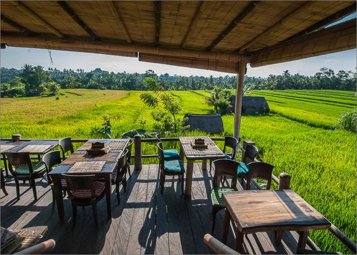 Sari Organic Cafe Bali Ubud Pinterest Sari Organic Cafe Bali Ubud Pinterest