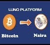 How Much Is $500 Worth Of Bitcoin In Naira / One Bitcoin To Naira / Bitcoin As Lifeline Amid Crushing ... / Calculator to convert money in bitcoin (btc) to and from nigerian naira (ngn) using up to date exchange rates.