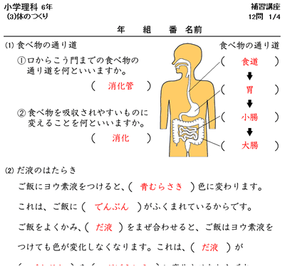 小６の理科ドリル 塾の先生が作った本当に欲しいプリント 楽天ブログ