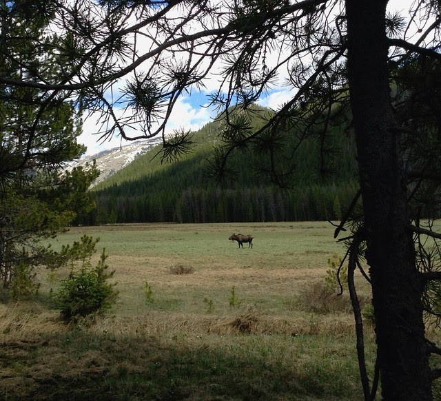 Colorado Adventure