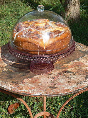 roll dans le jardin.jpg