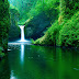 Green Background Wallpaper 4k 4k Green Nature Wallpapers