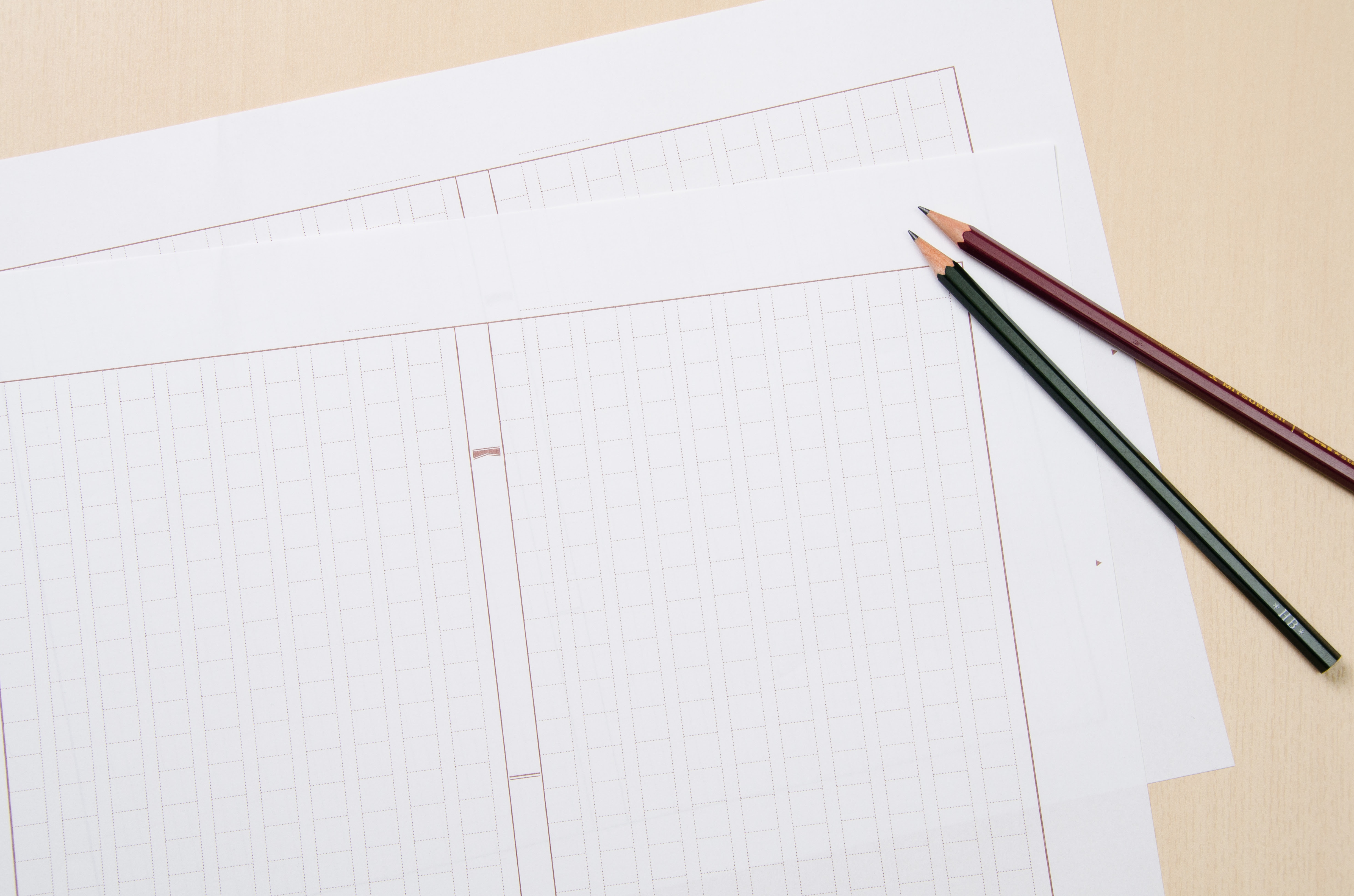 意見文の書き方と構成 中学生の書きやすいテーマと書き出しの例文 金魚のおもちゃ箱