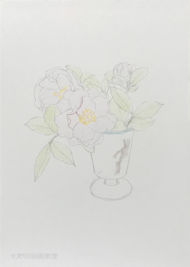 塗らずに描く 色鉛筆画の描き方 Vol 1 椿の花編 北野田絵画教室