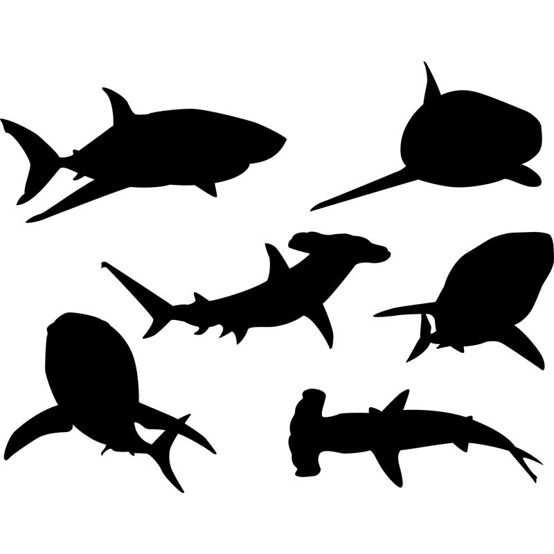 Free Shark Silhouette Download Free Shark Silhouette Png Images Free Cliparts On Clipart Library