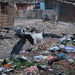 Bandra Bazar Road Beckons