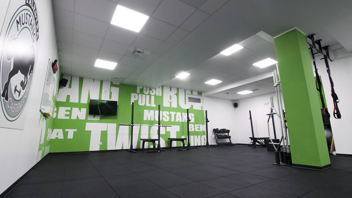 Palestra castenedolo