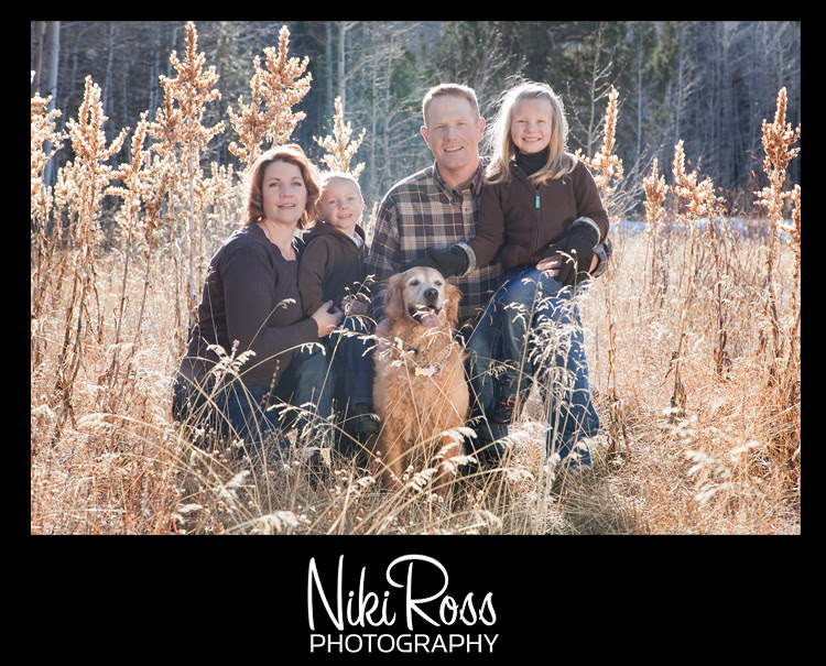 TallGrass
