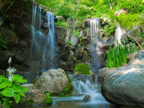 · american beachgrass (ammophila breviligulata) · beach sand verbena (abronia umbellata) · beach bur (ambrosia . Waterfall_River_Rocks_Plants_Trees_Nature-2560x1600