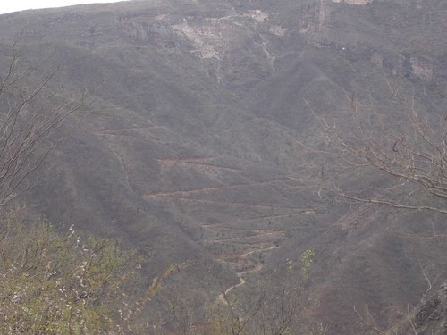 DSC00633