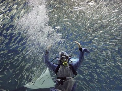 صور حول العالم