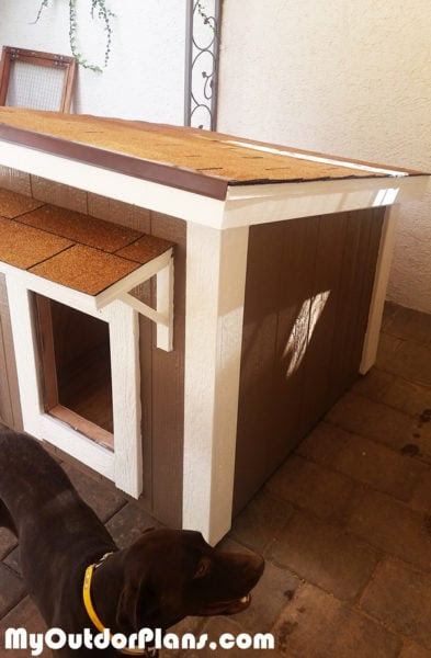 DIY Large Insulated Dog House | MyOutdoorPlans | Free 