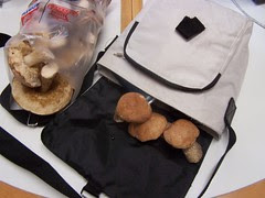 Mushroom Dinner 1