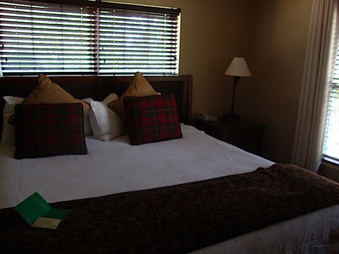 DSC08674.JPG