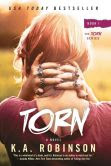 Torn: Book 1 in the Torn Series