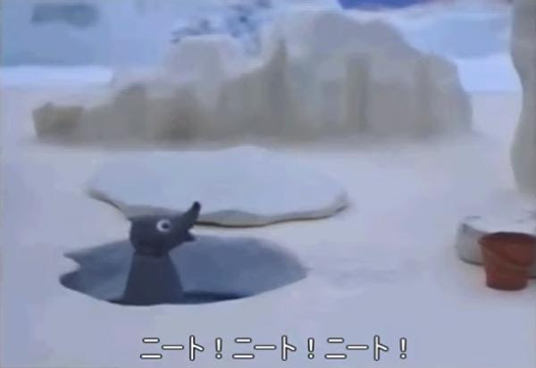 ﾋﾟﾝｸﾞｰ ボケて に来るやつ全員そうとかぬかしゃがんのか ﾟdﾟ ｺﾞﾙｧ アザラシ ロビ君へのボケ ボケて Bokete