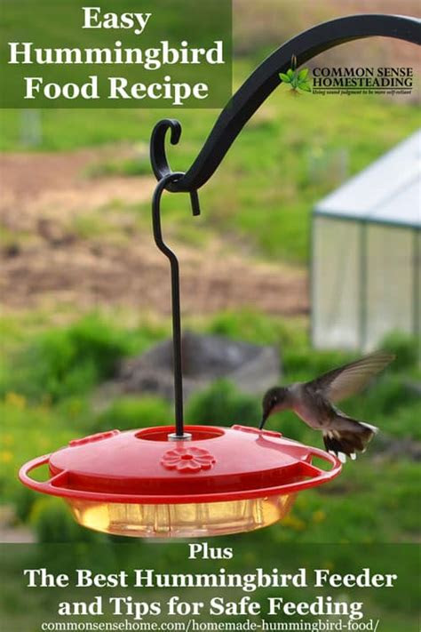 homemade hummingbird food recipe    hummingbird