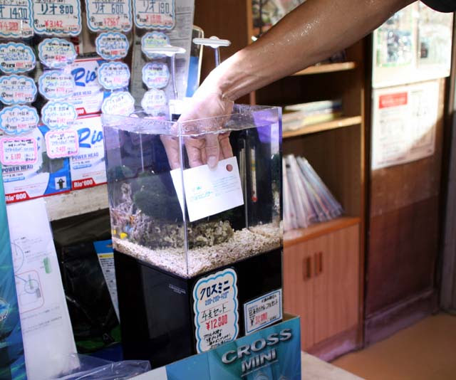 世界のとれたて海水魚 通信販売 の日海 Web Com 日海センター お掃除セット小型水槽用 海水魚 熱帯魚用品