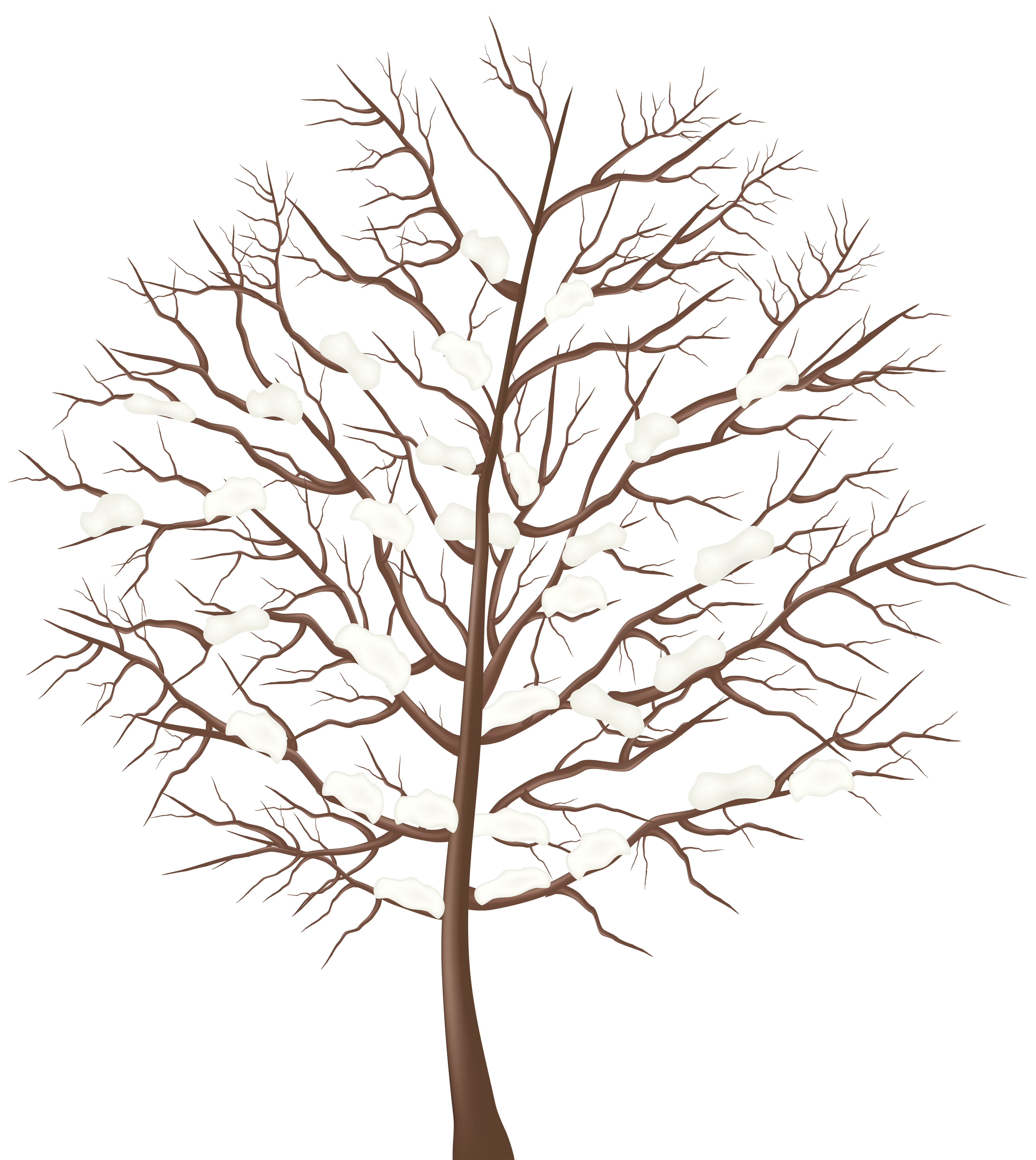 Winter Tree Transparent PNG Clip Art Image