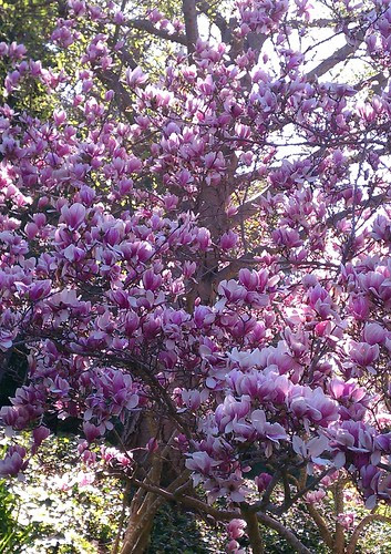 Spring!