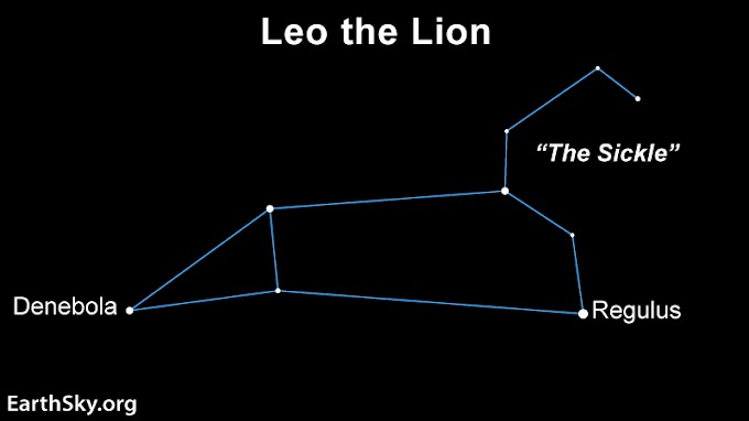 Meet Regulus, the Lion’s Heart