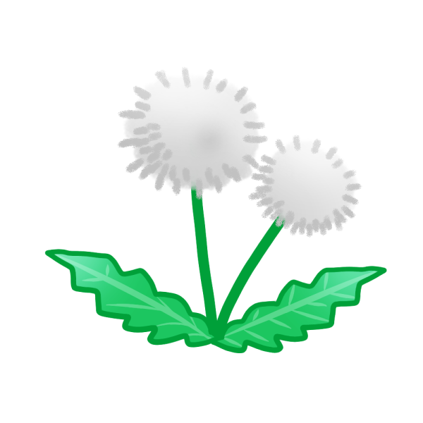 たんぽぽ 綿毛 のイラスト かわいいフリー素材が無料のイラストレイン