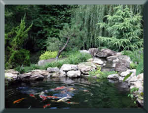 Koi Pond Installation, Pond Design NJ, Pond consultation ...