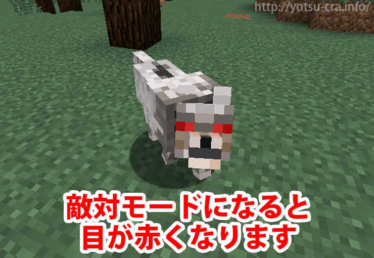 マインクラフト 狼の見つけ方 捕まえ方 繁殖方法も徹底解説