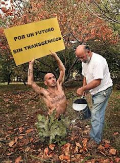 Resultado de imagen para greenpeace rescatando
