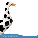 FatCow $88 Plan for $66 only