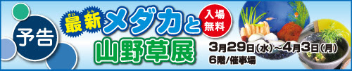 20170302mdk_ban2.jpg