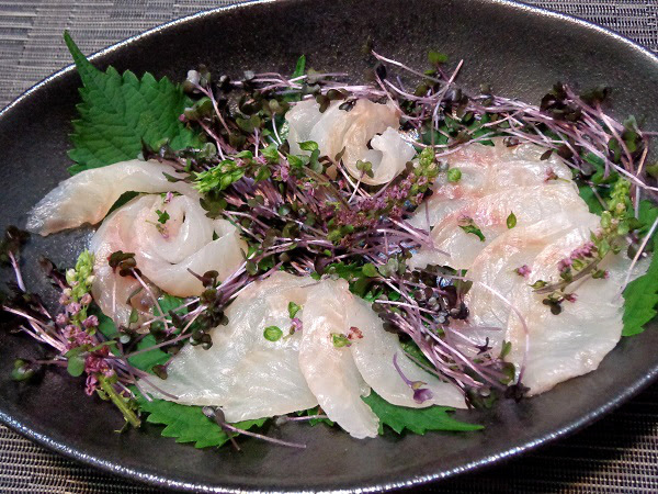 本格 魚の調理法 あこう キジハタ の捌き方 高級魚の旨味堪能 簡単レシピでうちごはん