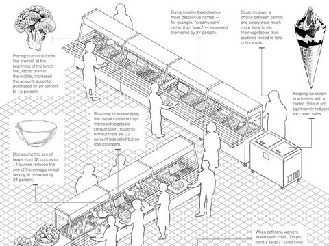 curriculum vitae sample for students_13. cafeteria lunch line image