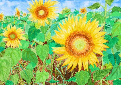 画像をダウンロード ひまわり 中学生 夏休み 絵 シモネタ