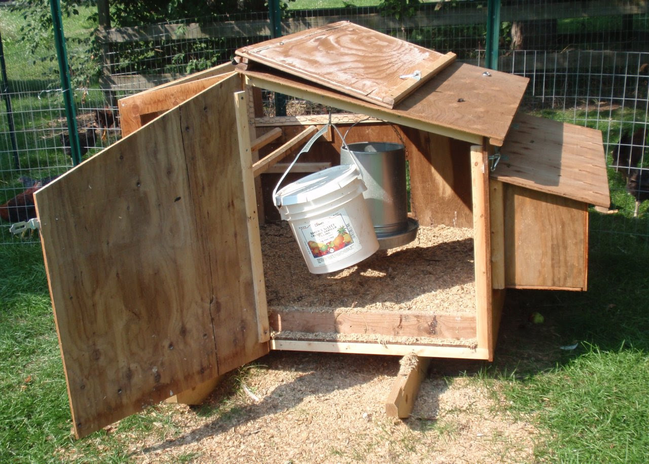 Hen's: Chicken coop door design