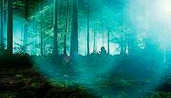  photo 40_zps60c158e3.gif